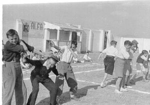 18.jpg (13891 bytes)