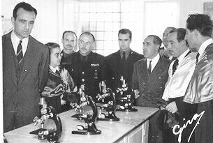 22.jpg (18271 bytes)