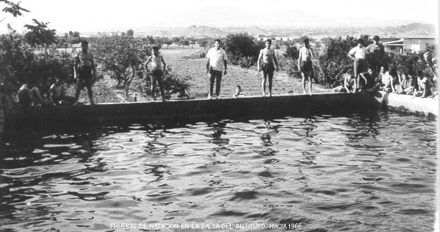 natacion1966.jpg (49864 bytes)